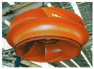 Hydro Rehabilitation